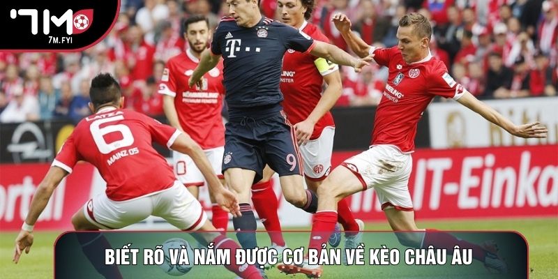 Kèo Châu Âu: Cẩm Nang Soi Tỷ Lệ Kèo 2026 Cực Chuẩn 1 Biết rõ và nắm được cơ bản về kèo châu âu