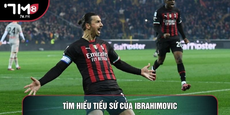 Cầu Thủ Ibrahimovic - Tiền Đạo Xuất Sắc Làng Bóng Đá 1 Tìm hiểu tiểu sử của Ibrahimovic