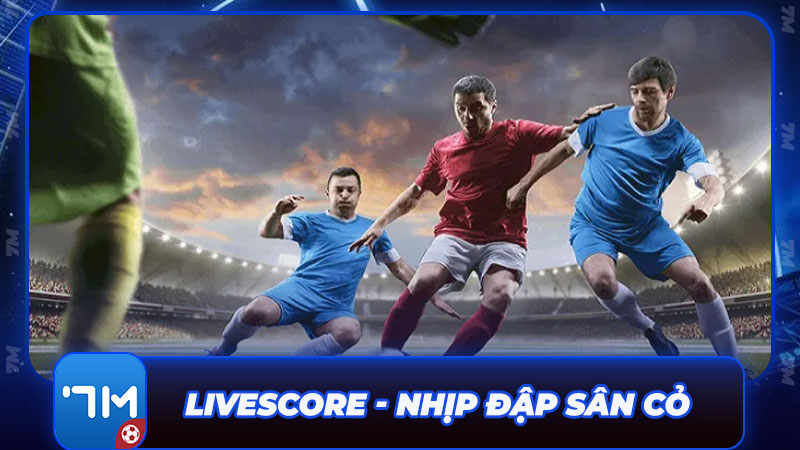 Livescore - Nhịp đập sân cỏ trong lòng bàn tay Livescore - Nhịp đập sân cỏ trong lòng bàn tay